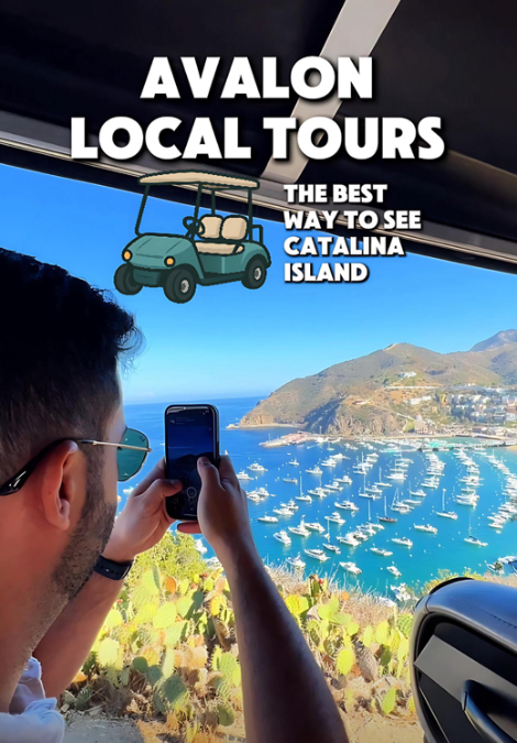 Avalon Local Tours