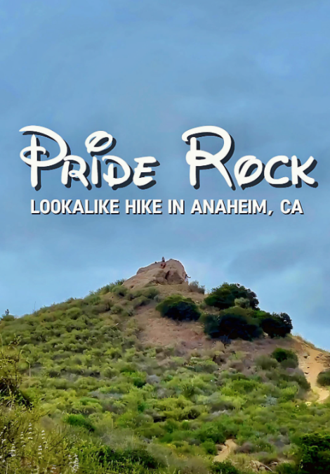 Pride Rock Hike