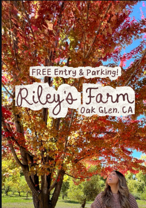 Riley's Farm