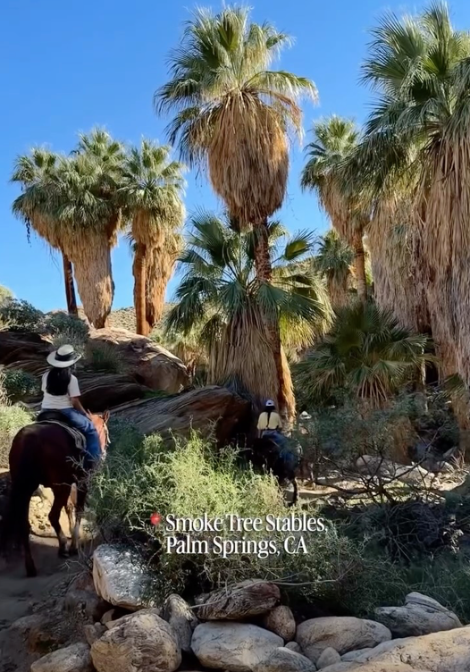 Smoke Tree Stables