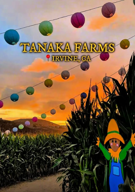 Tanaka Farms